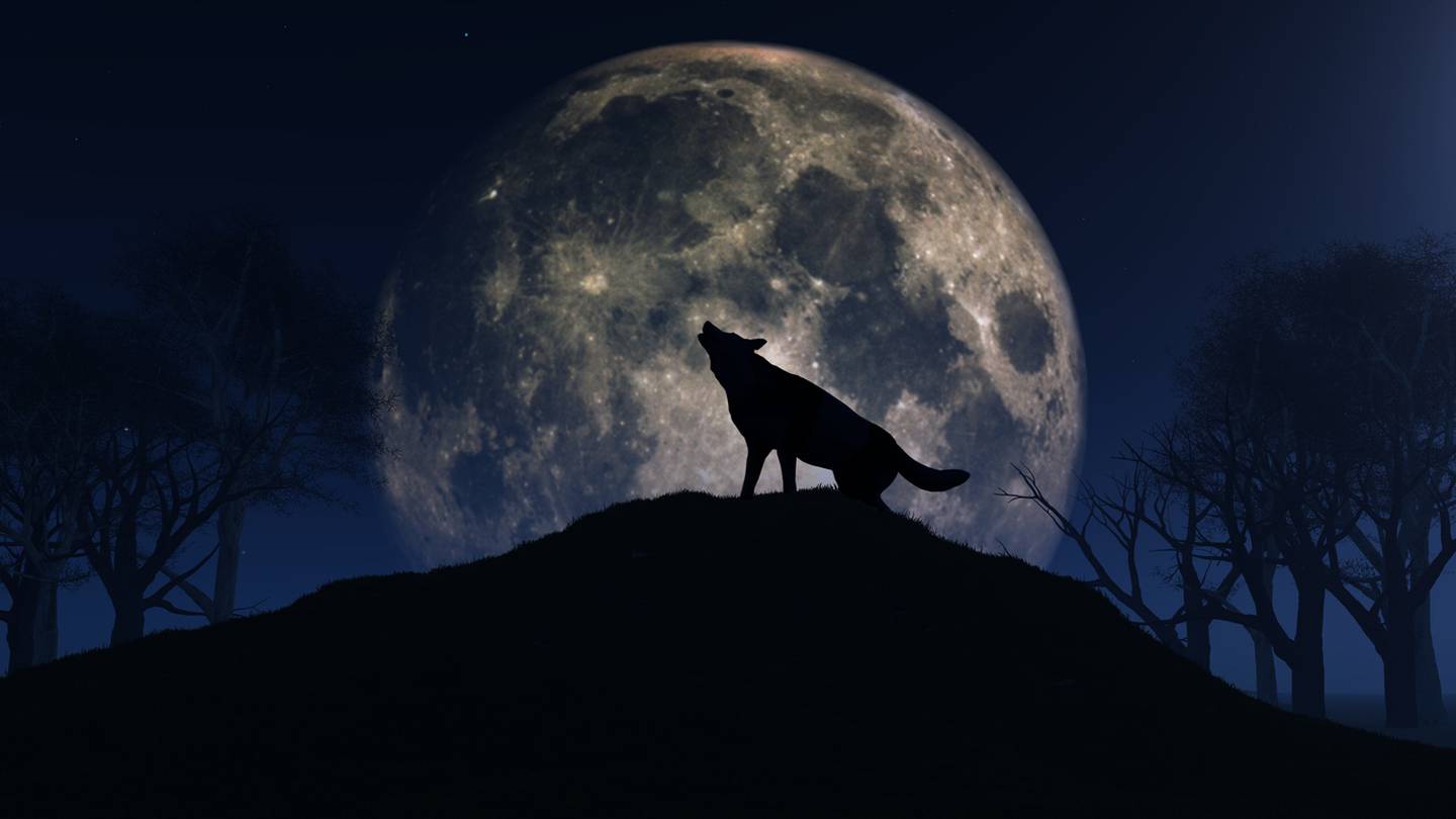 Wolf Moon First full moon of 2024 to shine bright this week 97X