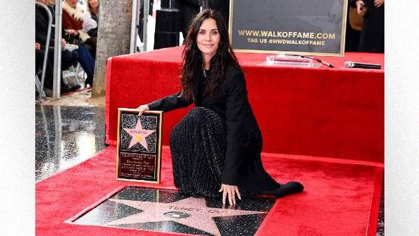Courteney Cox is such a Monica for cleaning her Hollywood Walk of Fame star