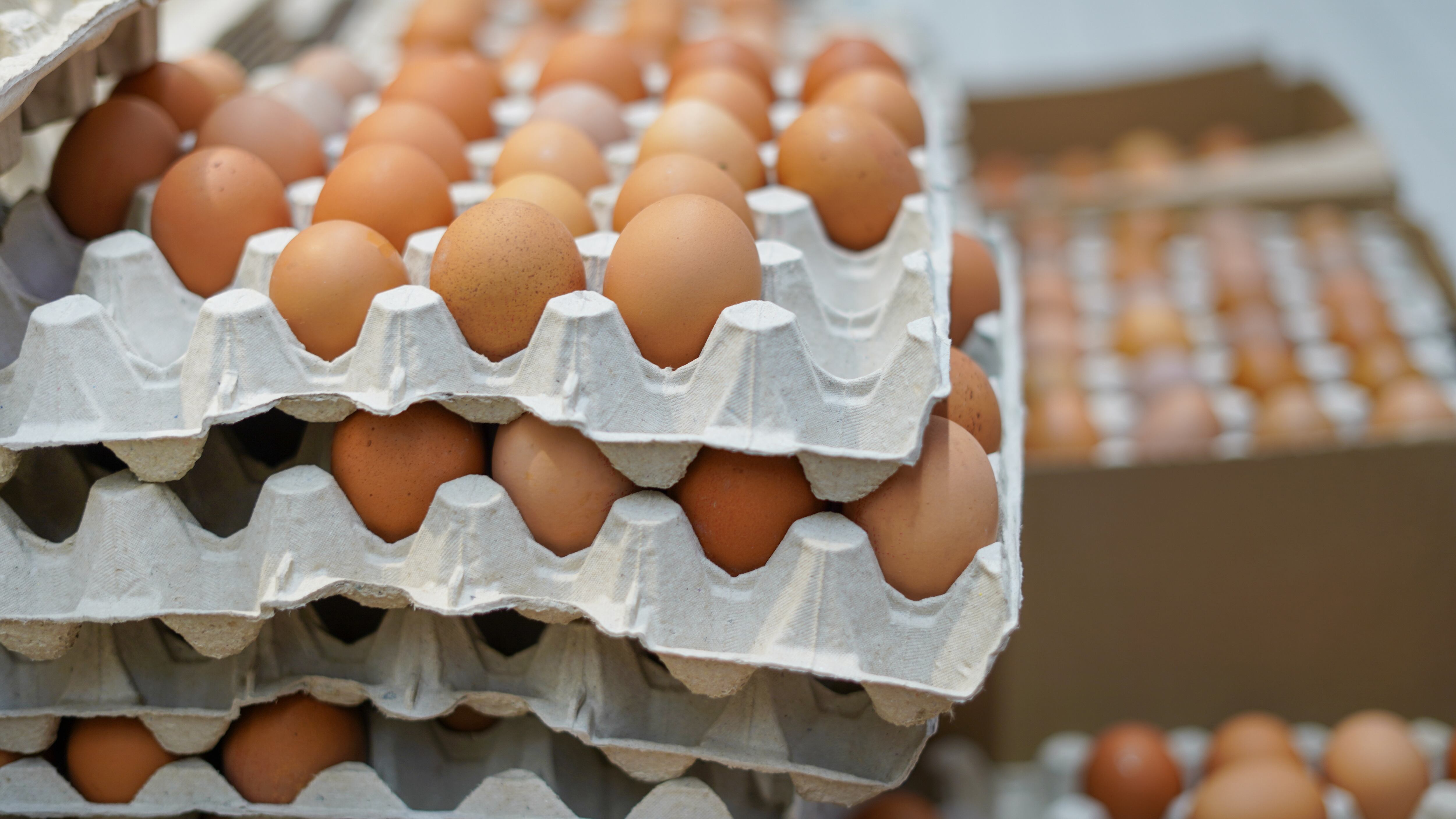 Farm eggs in egg carton boxes in the store.